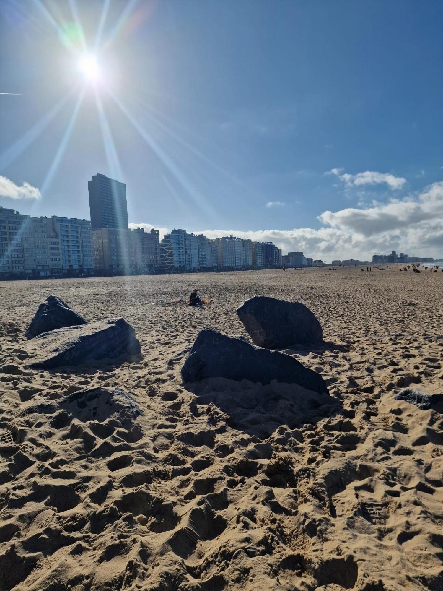 Apartament G&G Sea Dream Avec Garage Ostenda Zewnętrze zdjęcie